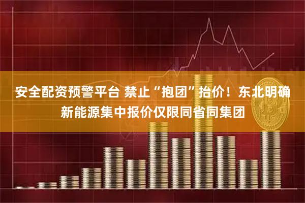 安全配资预警平台 禁止“抱团”抬价！东北明确新能源集中报价仅限同省同集团